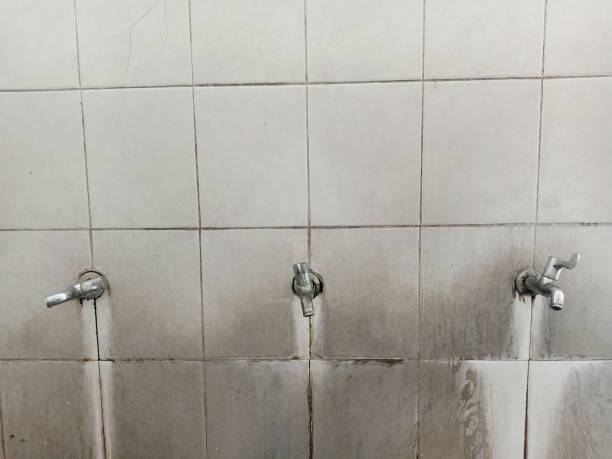 Best Water damage mitigation services  in San Antonio, FL