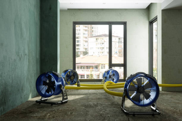 Best Commercial water damage restoration  in San Antonio, FL